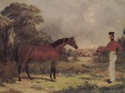 John Frederick Herring, The Man and horse